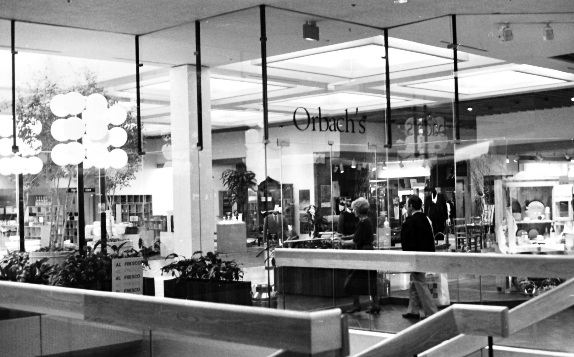 Orbach's
